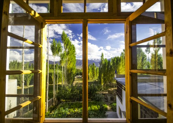 Cost of Wood Window Replacement in Boston