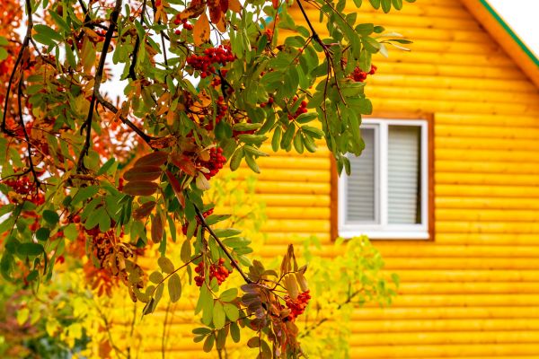 Cost of Garden Window Replacement in Boston